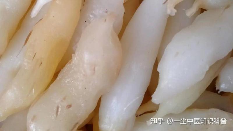 中草药天冬的功效 - 知乎
