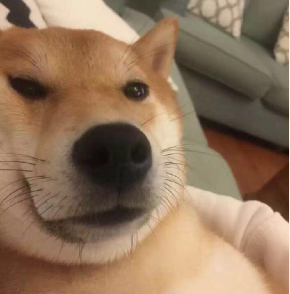 有没有那种沙雕中不失正经的头像?