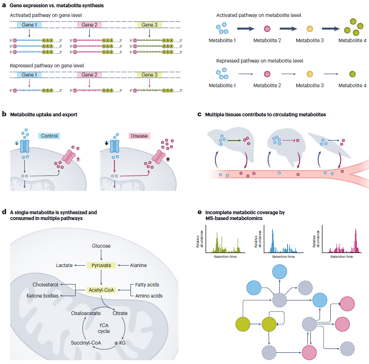 震惊！Nature子刊最新发布！你的代谢组学通路分析真的做对了吗？ - 知乎