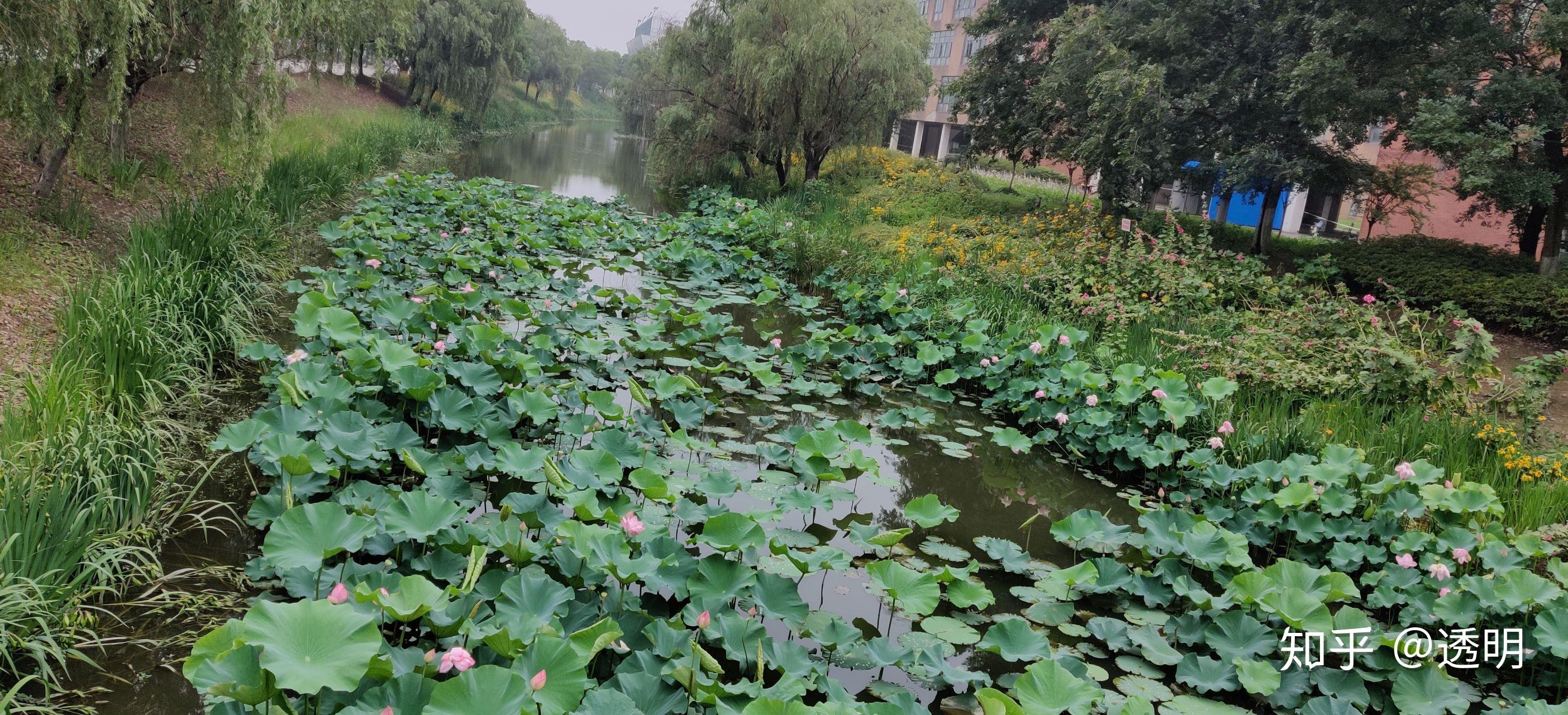 南京中醫藥大學翰林學院與南京醫科大學康達學院比哪一個更好一點