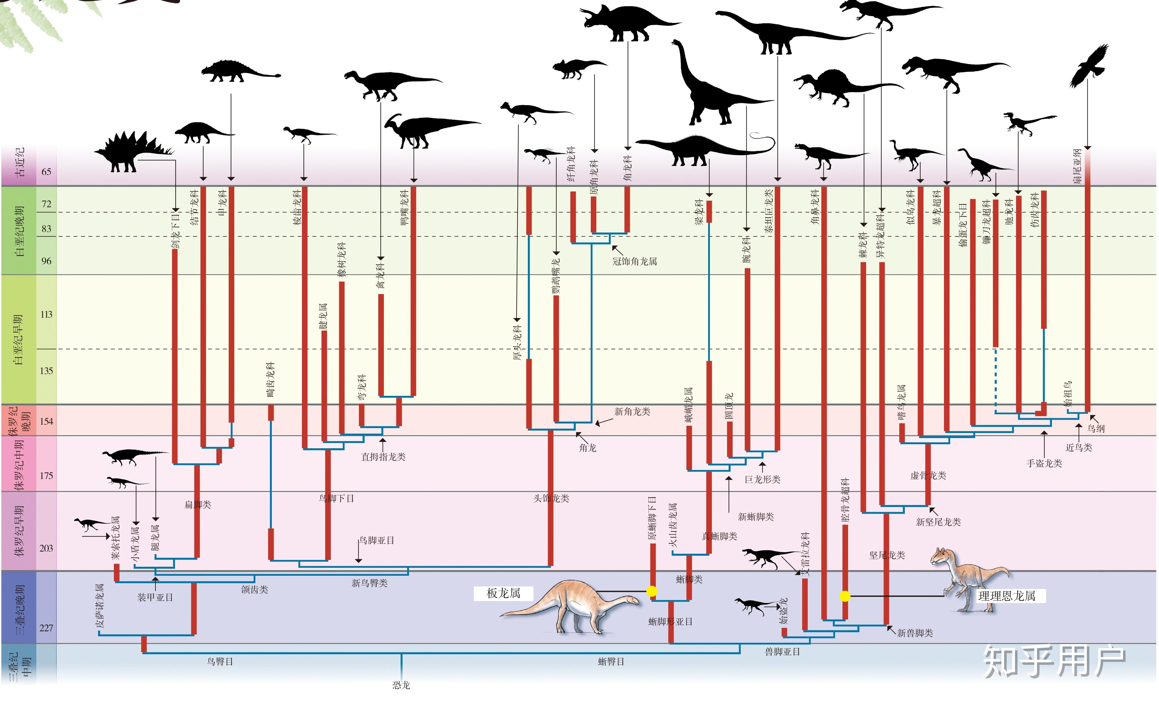 恐龙演化成鸟类的过程图片