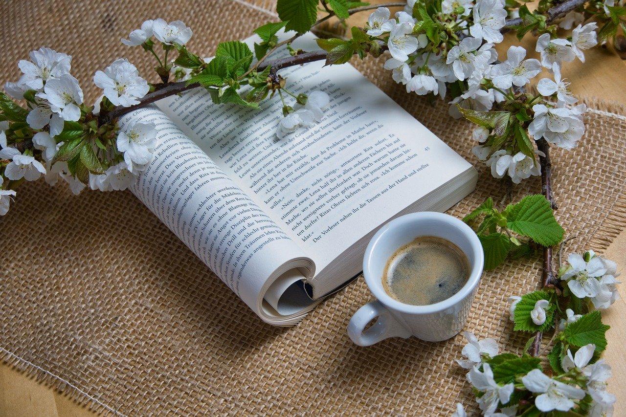 阳台盆栽葡萄如何过冬