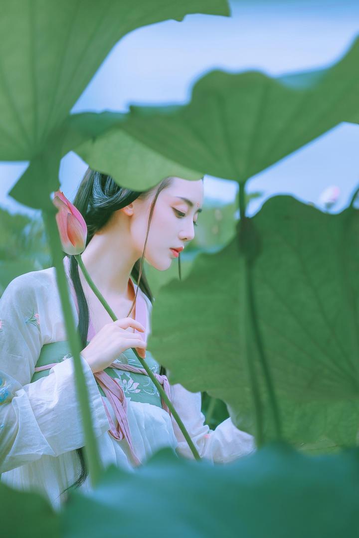 超清采荷花的古典美女艺术写真,无水印自取