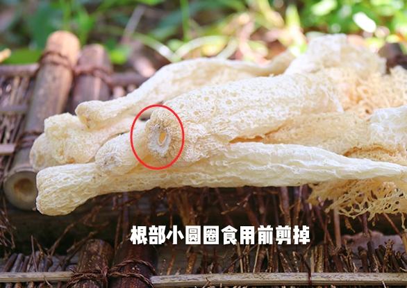 竹荪的功效与食用方法你知道多少?竹荪的质量如何鉴别?影响竹荪价格因素有哪些? - 知乎