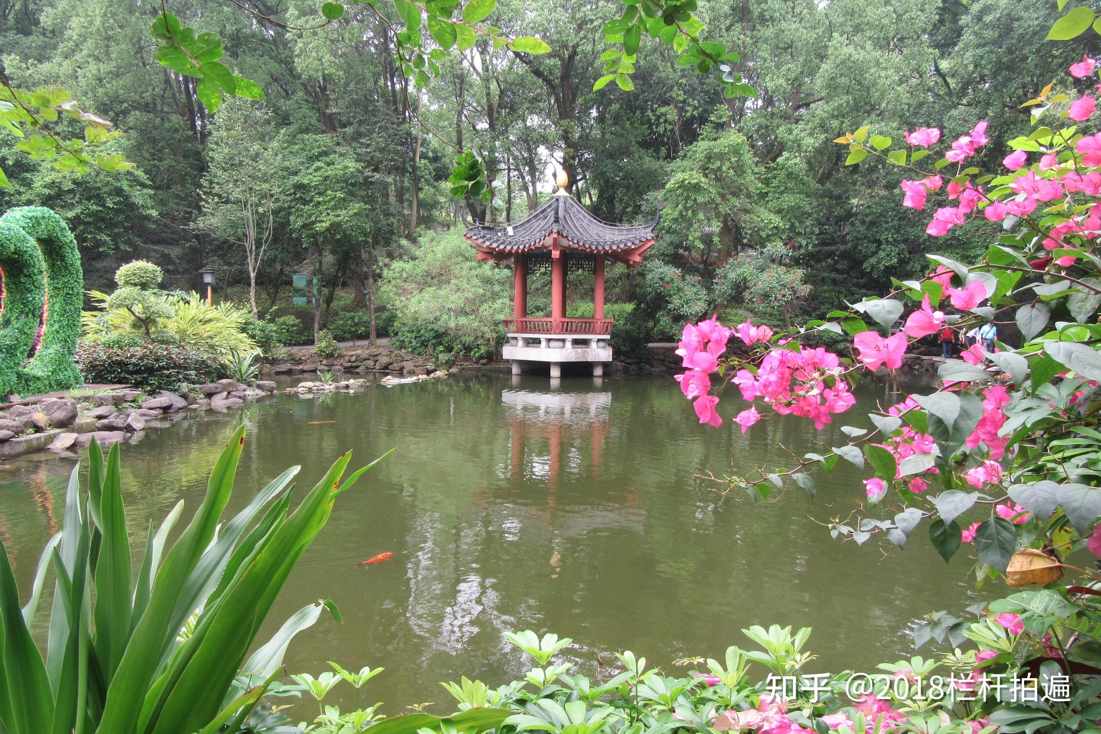 广东:惠州“罗浮山风景名胜区”游记(1)冲虚古观 - 知乎