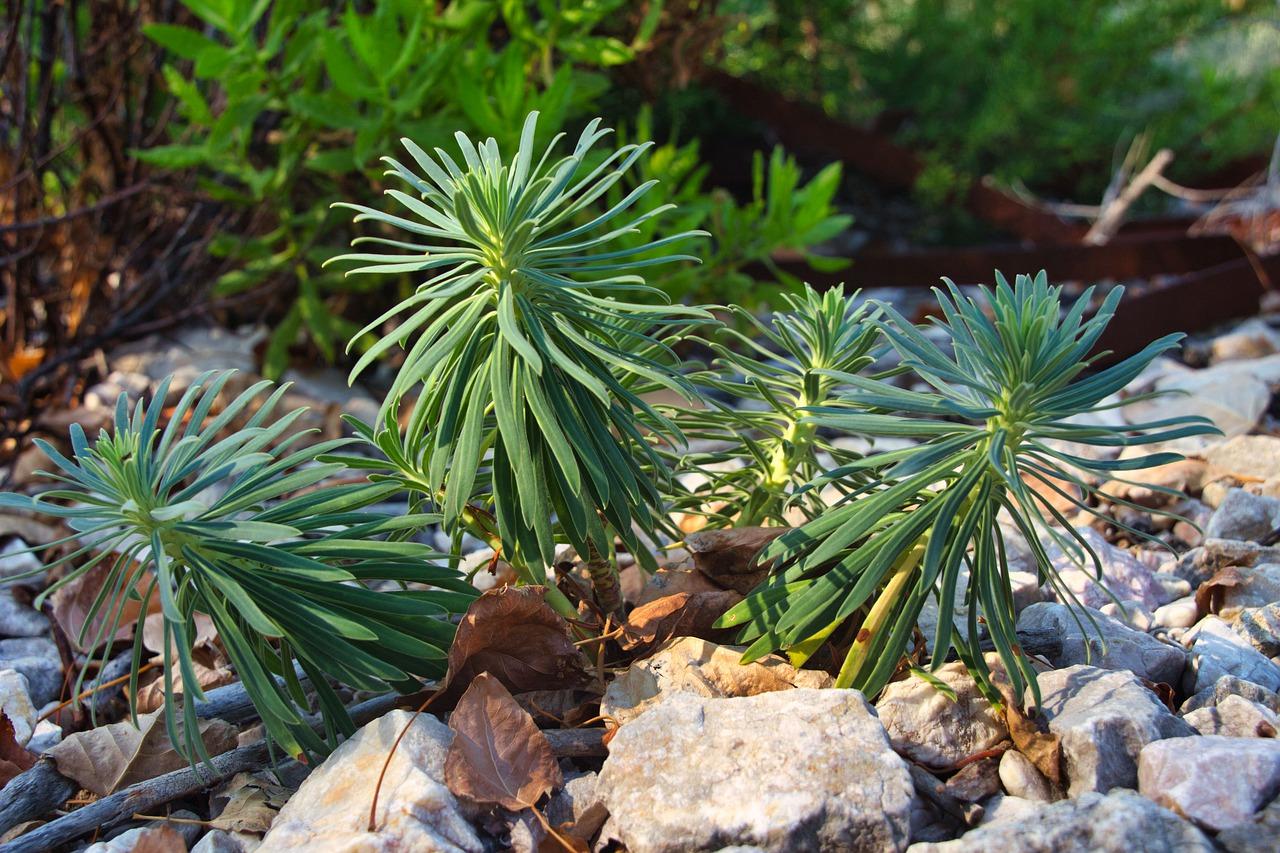 3. 地段优劣分析