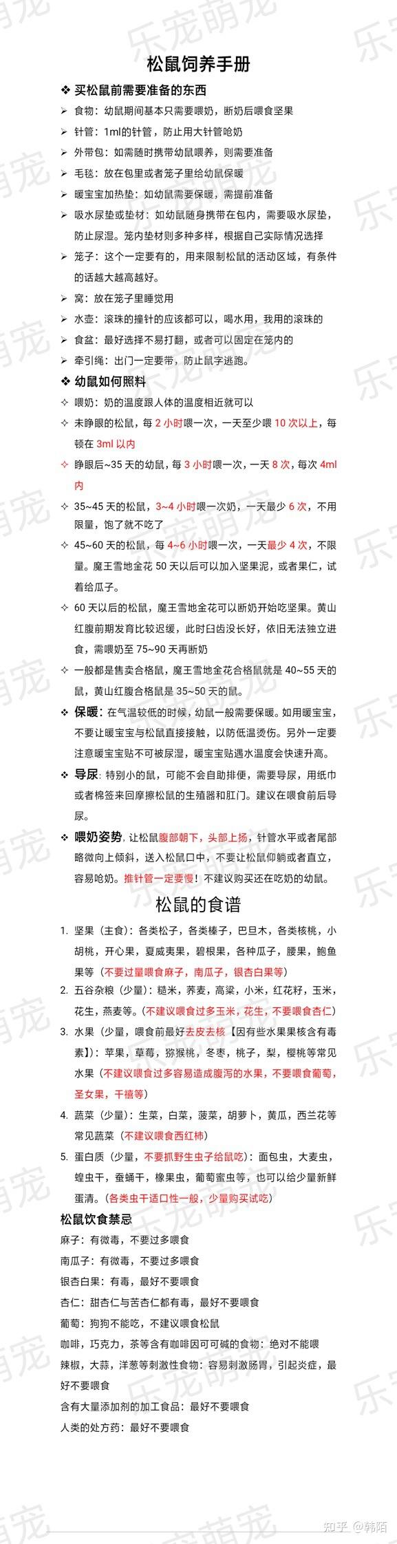 金花松鼠幼崽怎么养啊从来没有养过属于新手