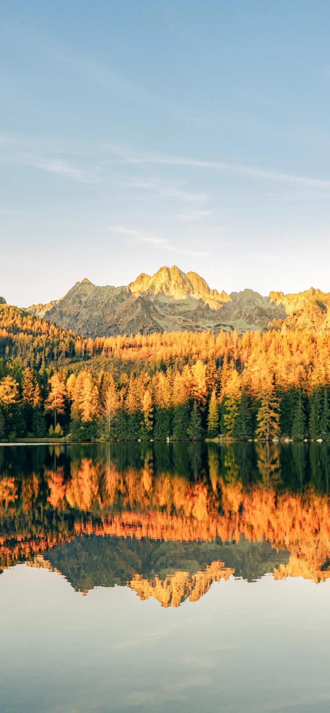 有什么清新脱俗久看不厌的手机壁纸