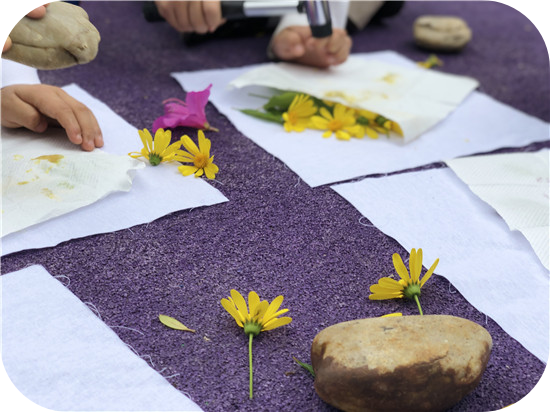 草木染初探敲拓染篇