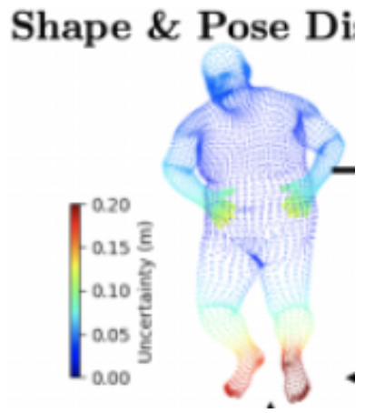 Hierarchical Kinematic Probability Distributions for 3D Human Shape and ...