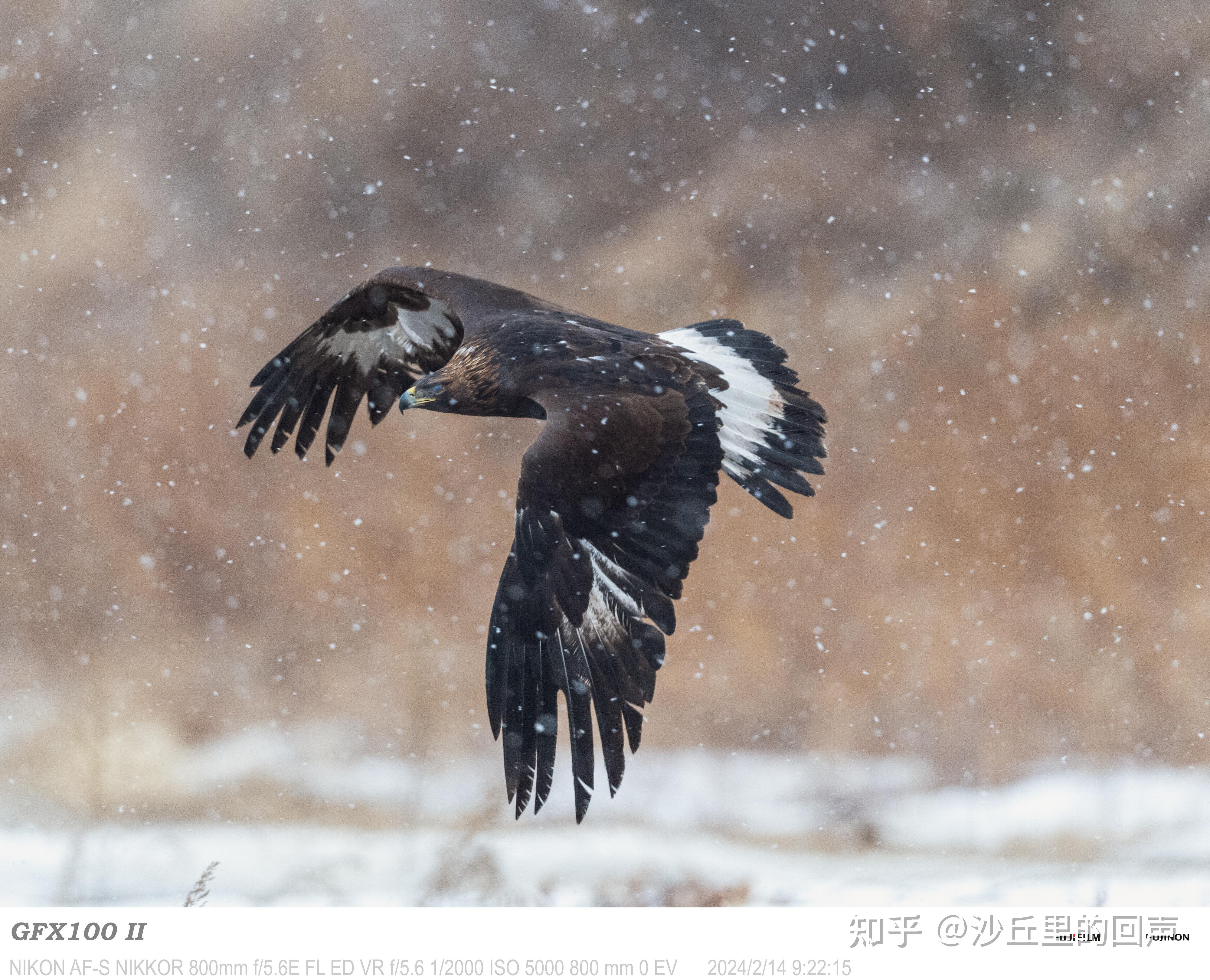 使用长焦镜头拍摄旅游照片的技巧有哪些? - 知乎
