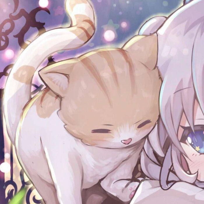 有木有一人一猫的情侣头像哦比如这种,感激! - 知乎