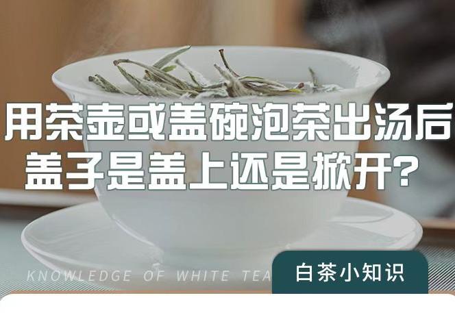 泡茶间隙,盖子是盖上还是掀开? - 知乎