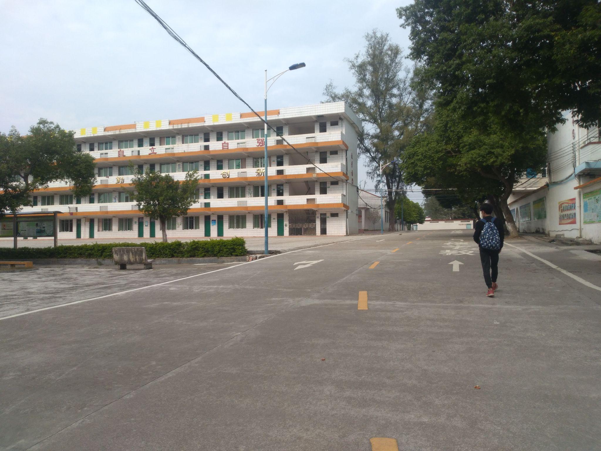 英德市田家炳中学怎么样,读职中好还是田中好? - 知乎