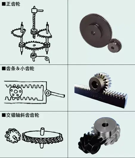 齿轮