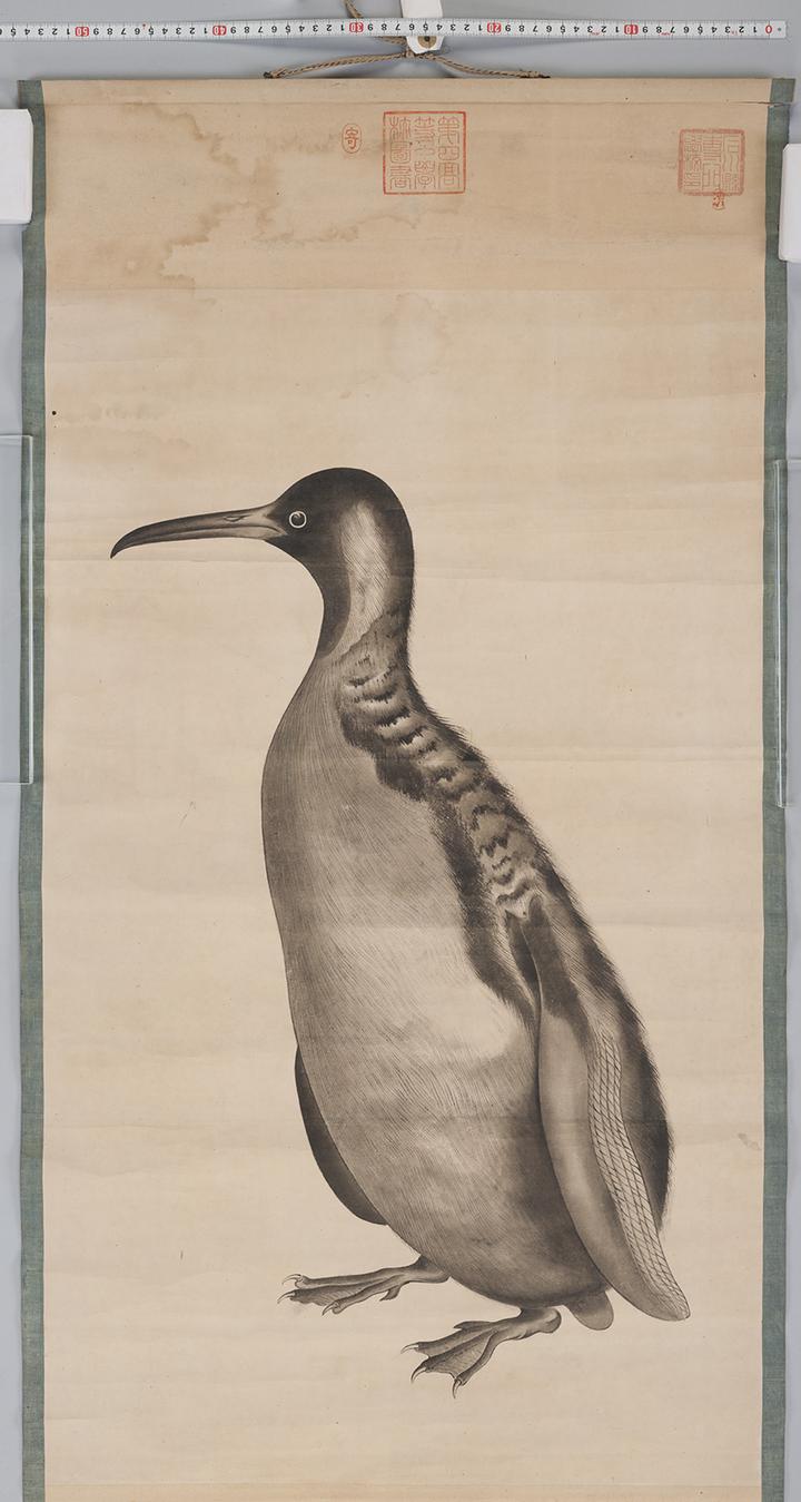 关于企鹅的译名