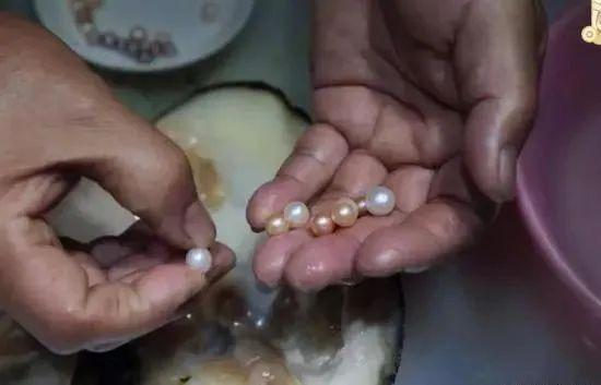 令人惊喜女子网购贻贝称吃出多颗珍珠网友羡慕不已