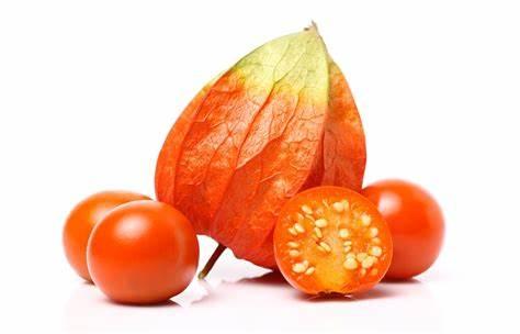 多才多艺的印度草药:南非醉茄ashwagandha - 知乎