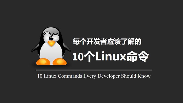 每个开发者应该了解的 10 个 Linux 命令 - 知乎