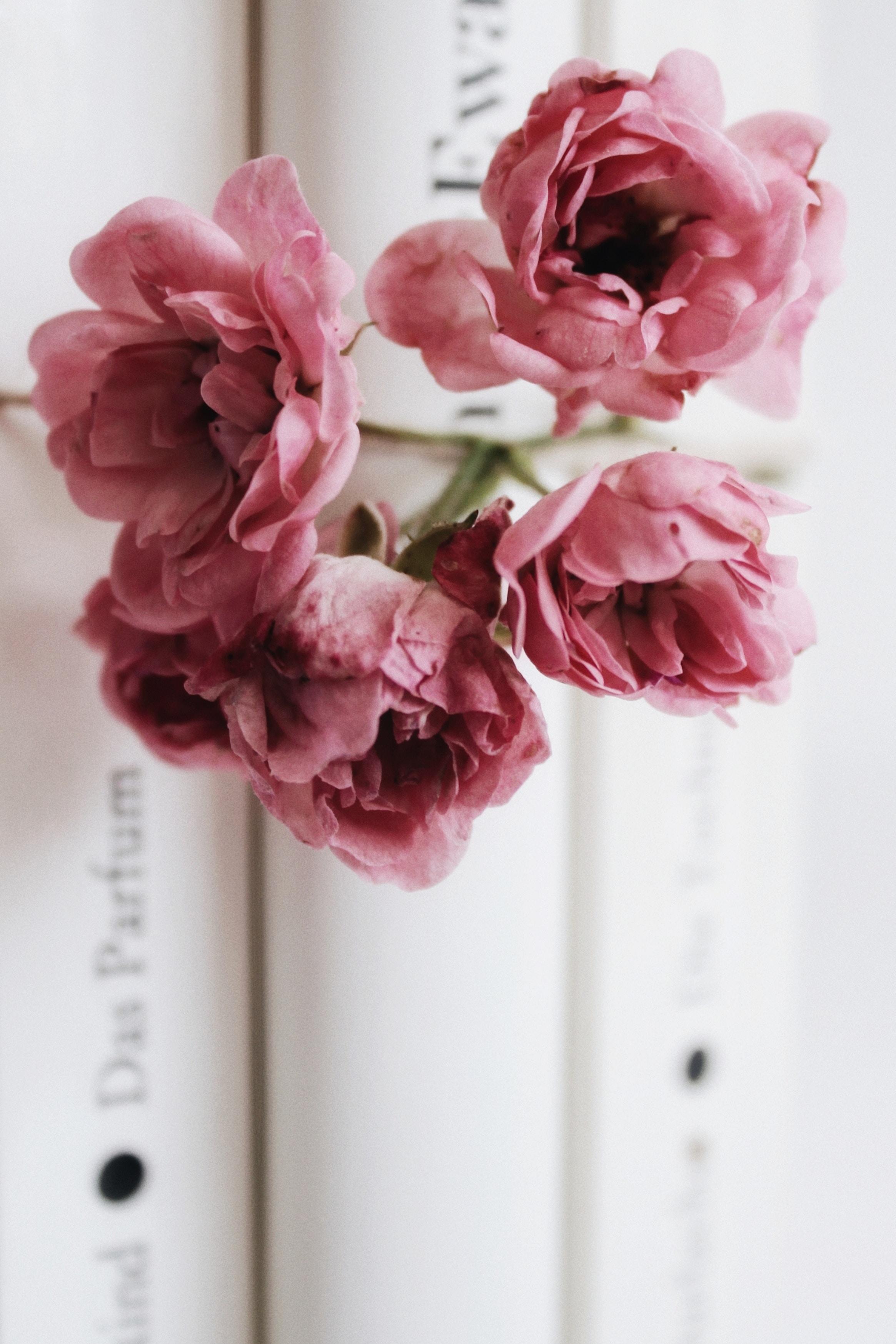 手绘本是干什么的