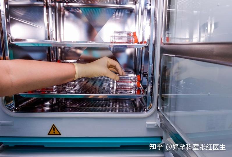 2025年最新正规供卵后能拿到钱吗知乎推荐(今日分享捐卵后会被别人知道吗)