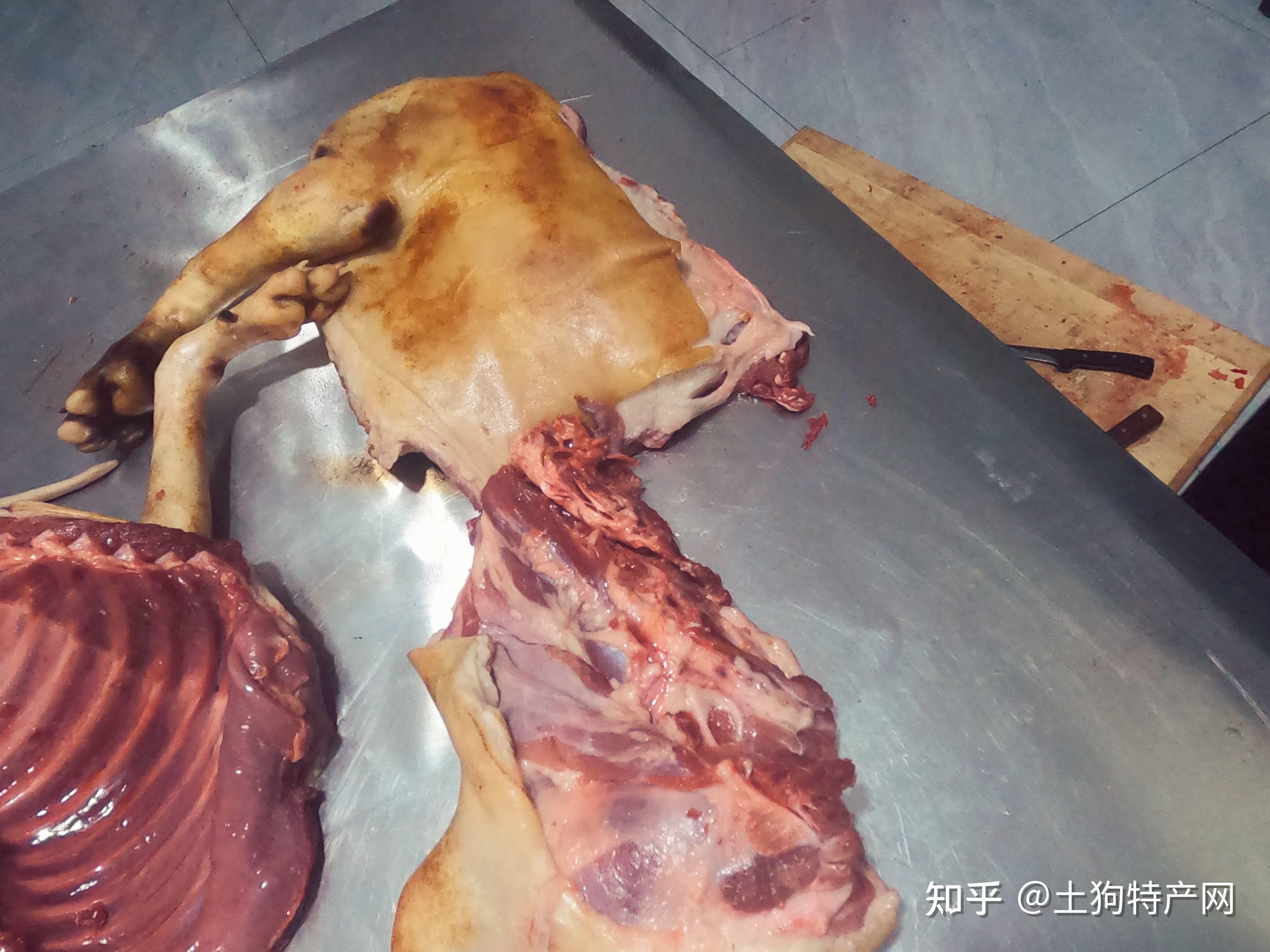 合肥有卖生狗肉的吗,多少一斤? - 知乎