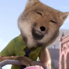 Rounded avatar
