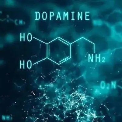 怎样增加大脑多巴胺分泌? - 知乎