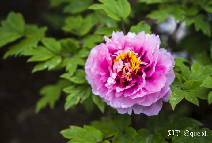 五一出行如何才能避开「人山人海」？