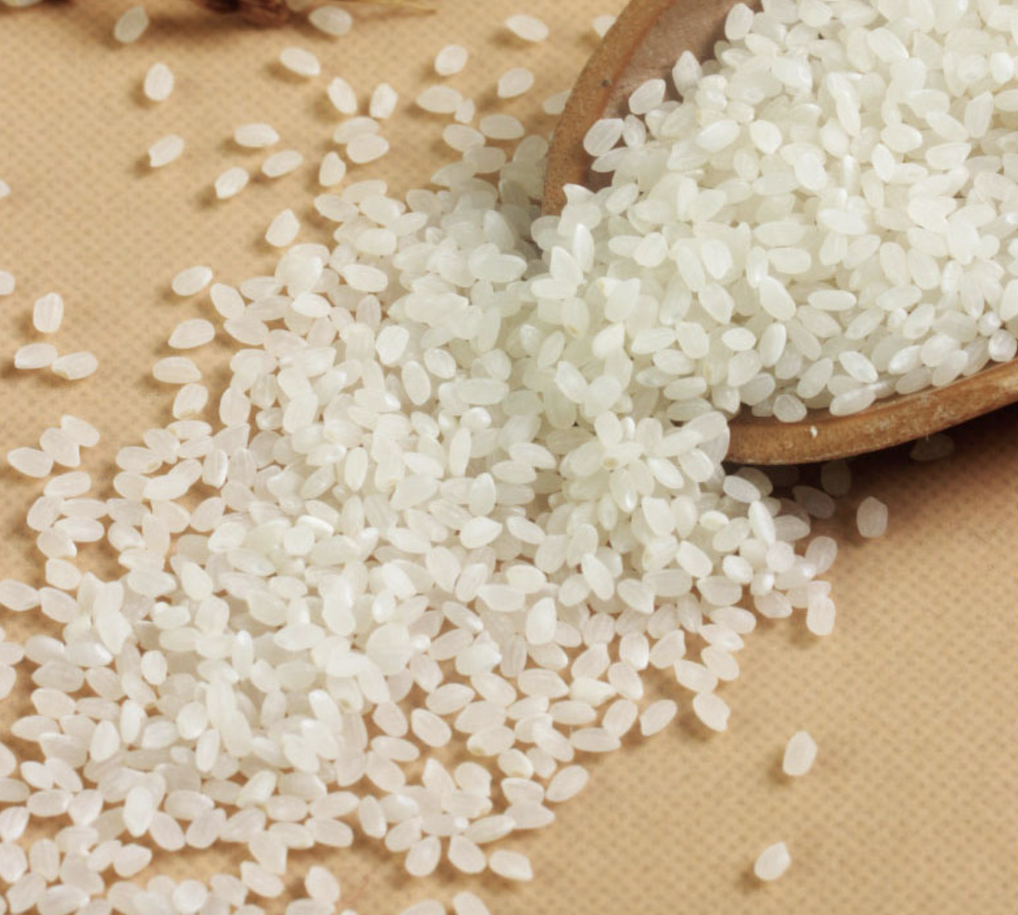 粳米是什么米和大米有区别吗（粳米与普通大米哪个米好吃）-南华生活网