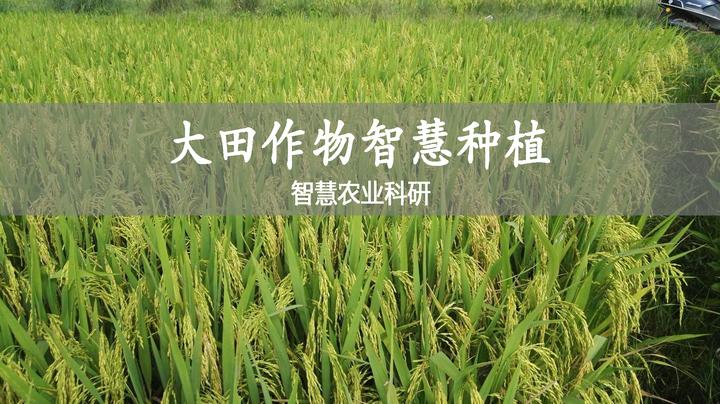 四项智慧农业大田作物智慧种植科研 - 知乎