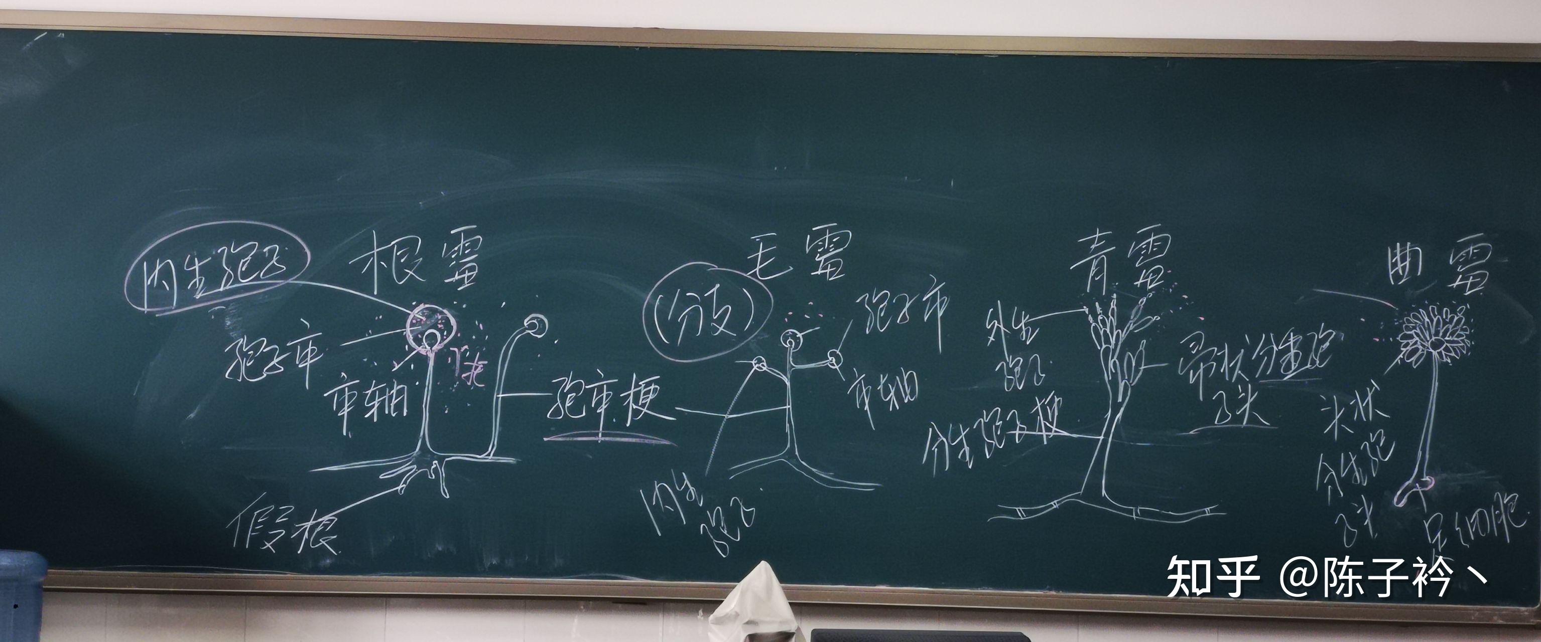 如何区分毛霉曲霉青霉根霉