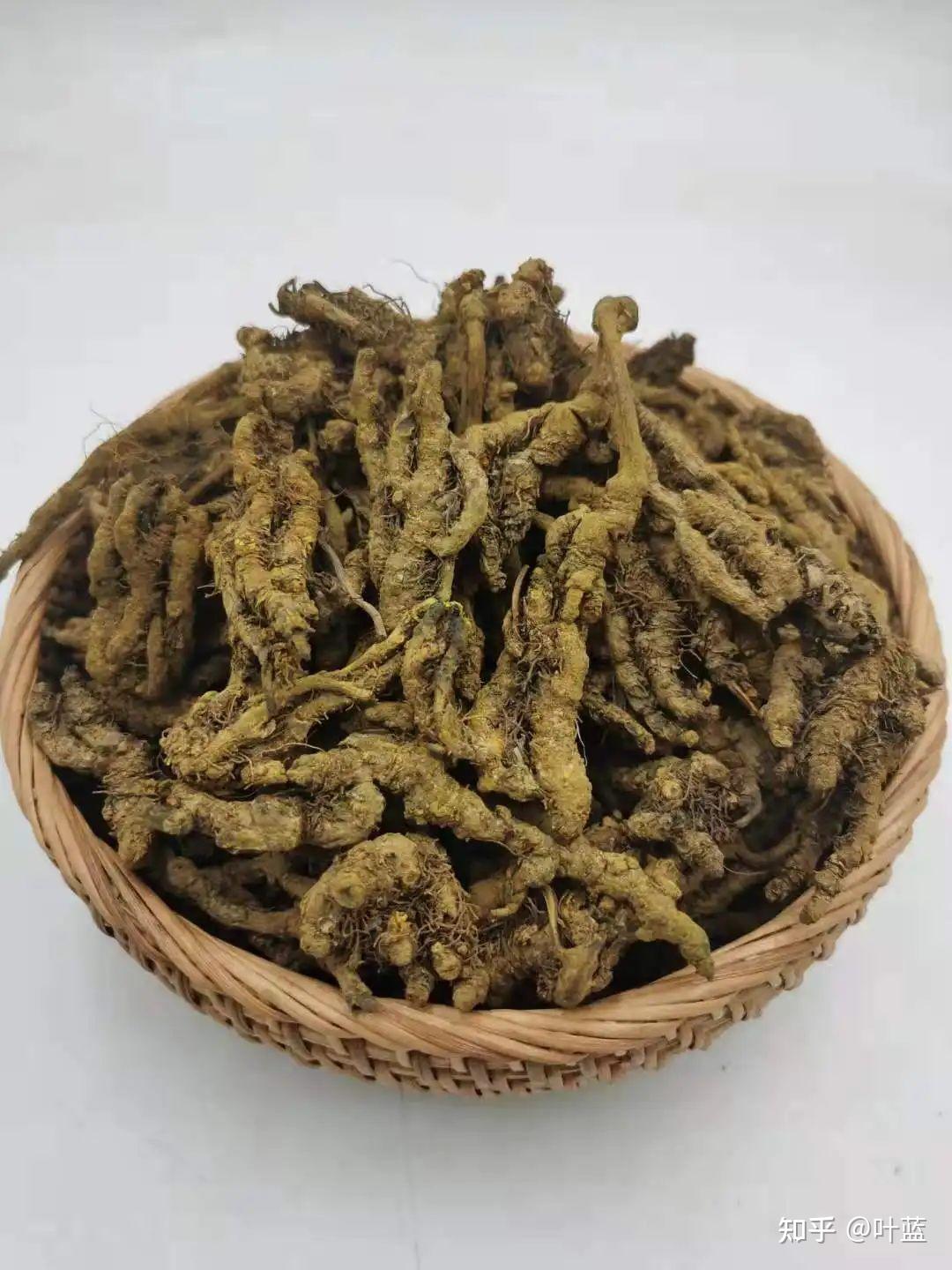 胡黄连和黄连在药性上有哪些区别? - 知乎