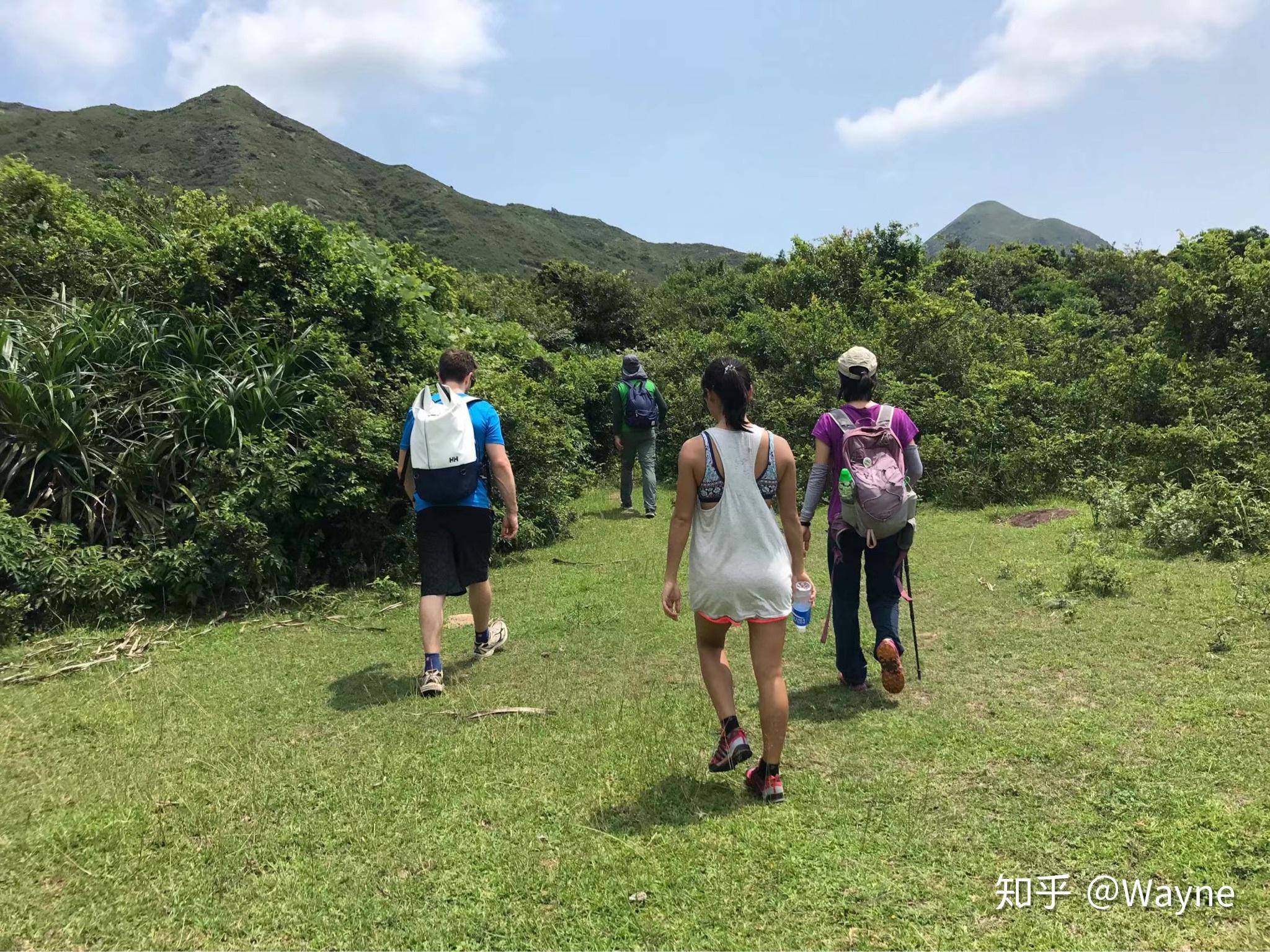 如何看待岳麓山管理处一刀切立梅花桩阻挡行人和山地车的行为? - 知乎