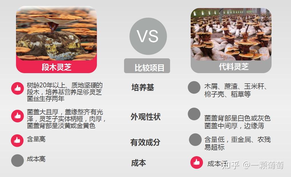 灵芝孢子粉市场价格差别这么大合理吗