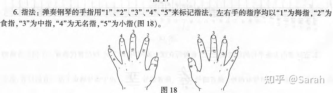 钢琴左手哪个手指才是1小拇指还是大拇指
