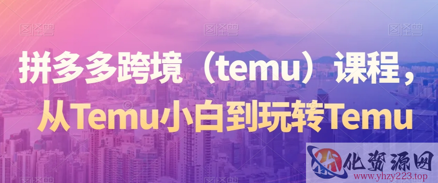 拼多多跨境（temu）课程，从Temu小白到玩转Temu