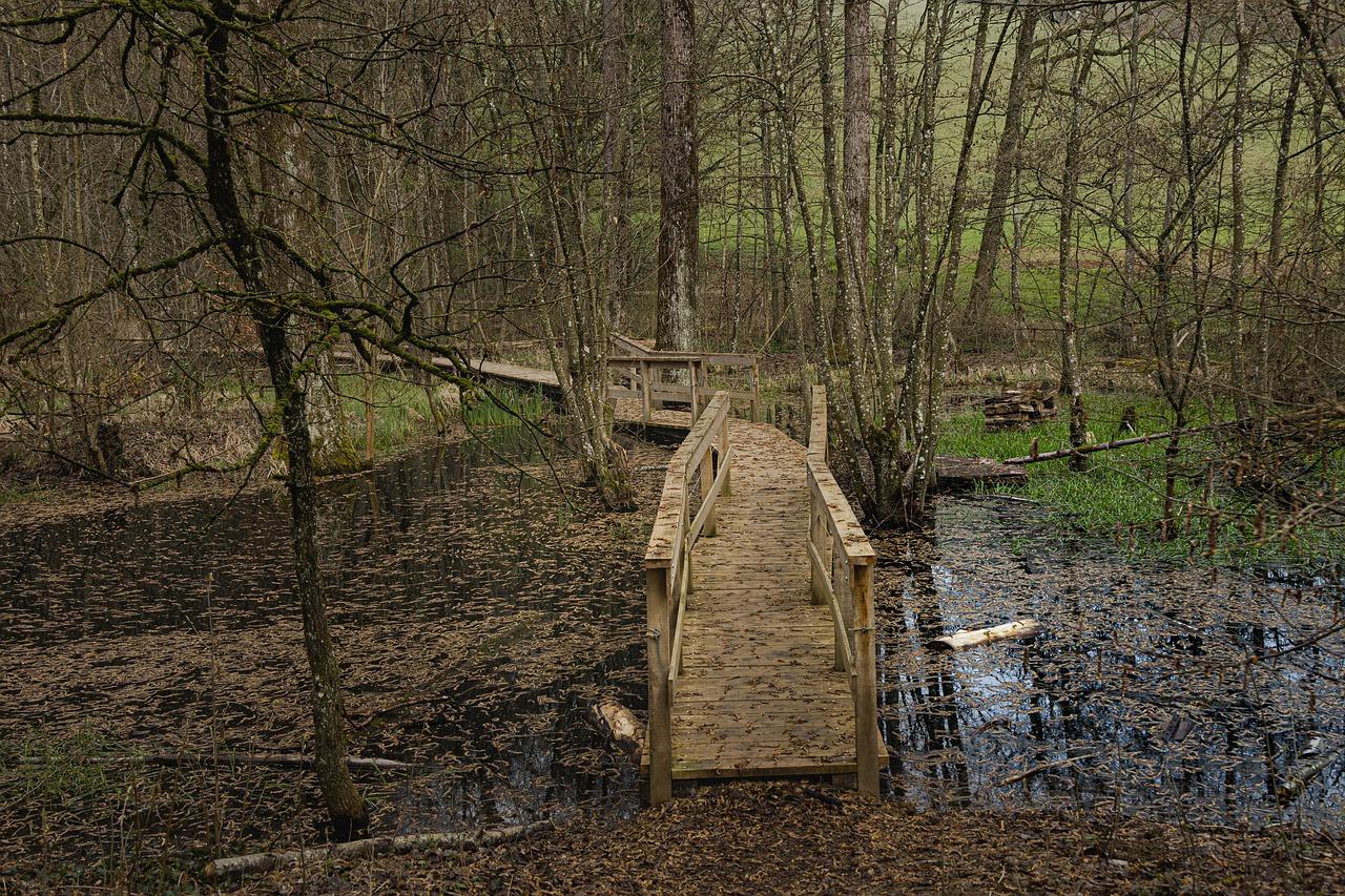 红椿木家具选购要点