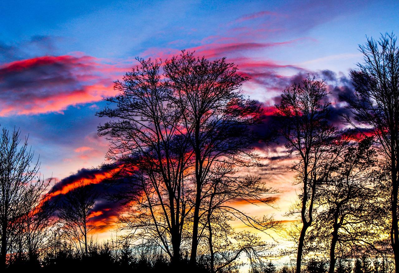 2. 泰格户型解析