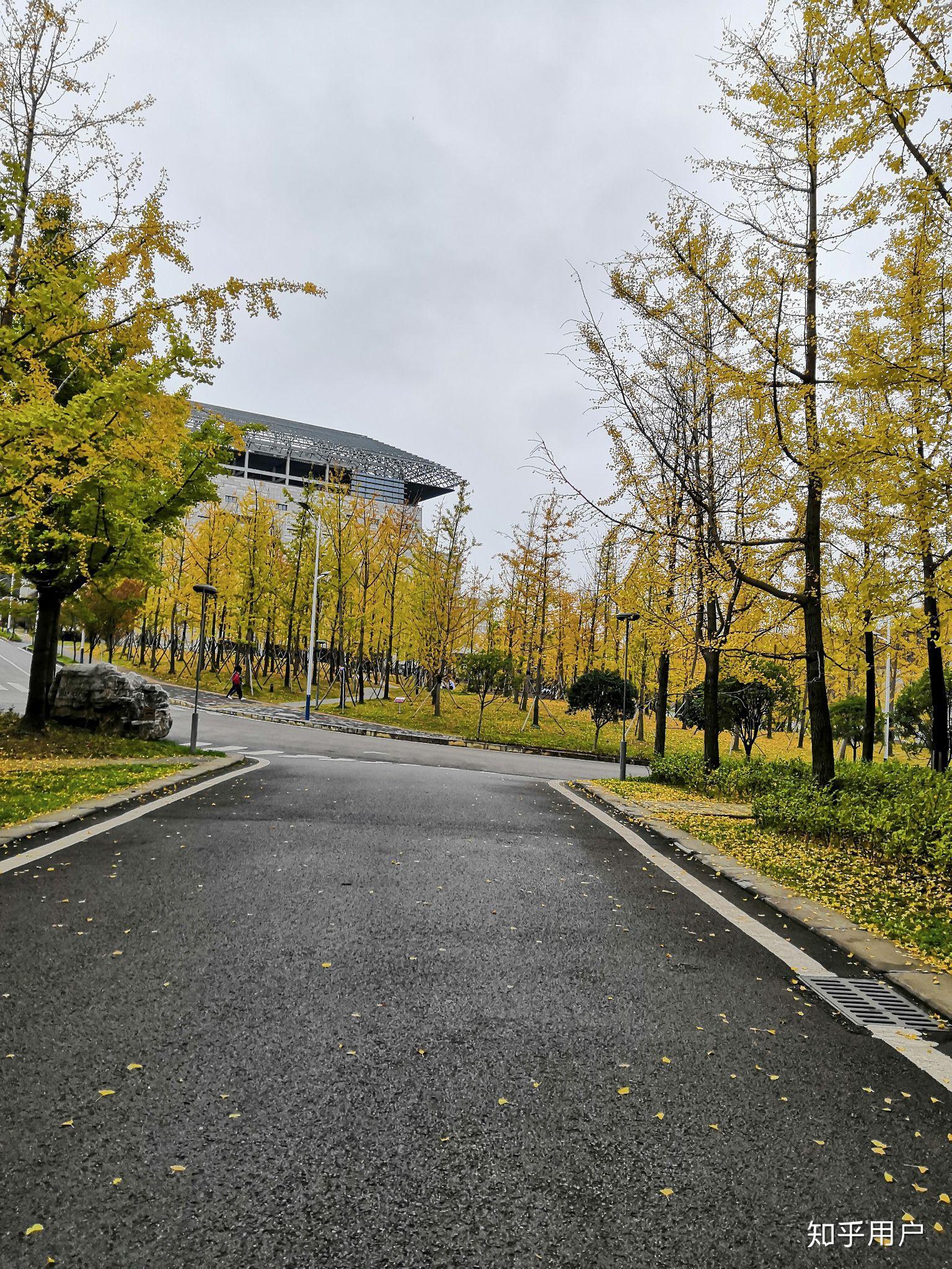 在貴州師範大學讀書是一種什麼體驗