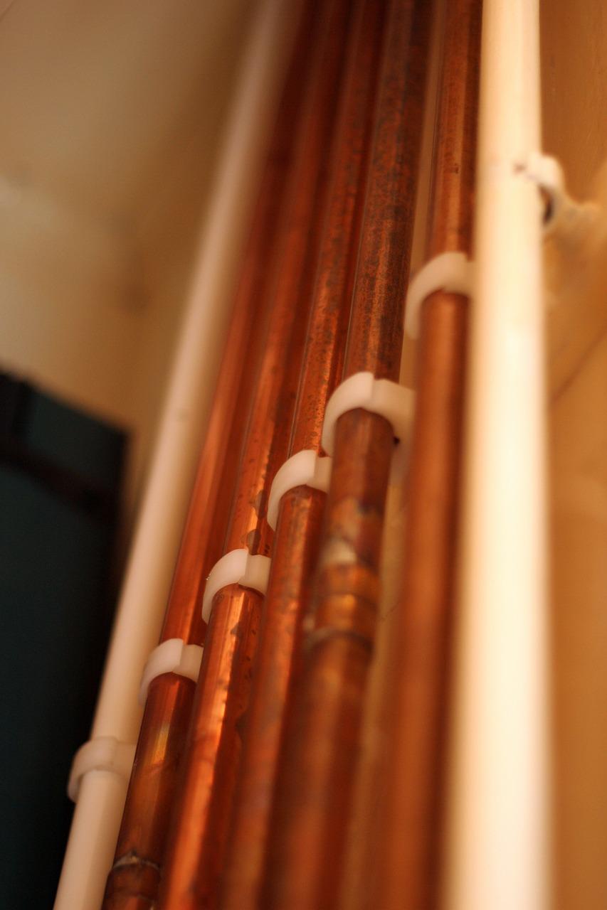 伟星管什么意思