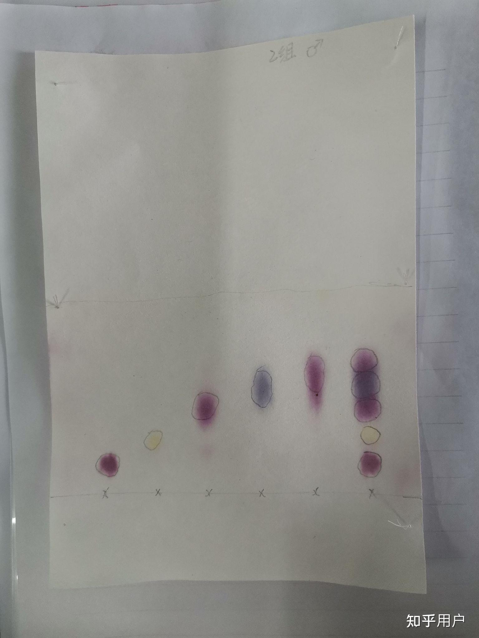 纸色谱分离氨基酸实验中混合氨基酸的斑点为什么不分开呢