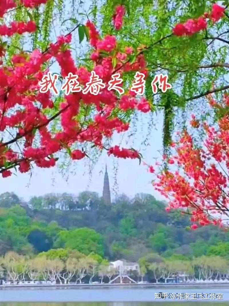 花开又一春（短诗） - 知乎