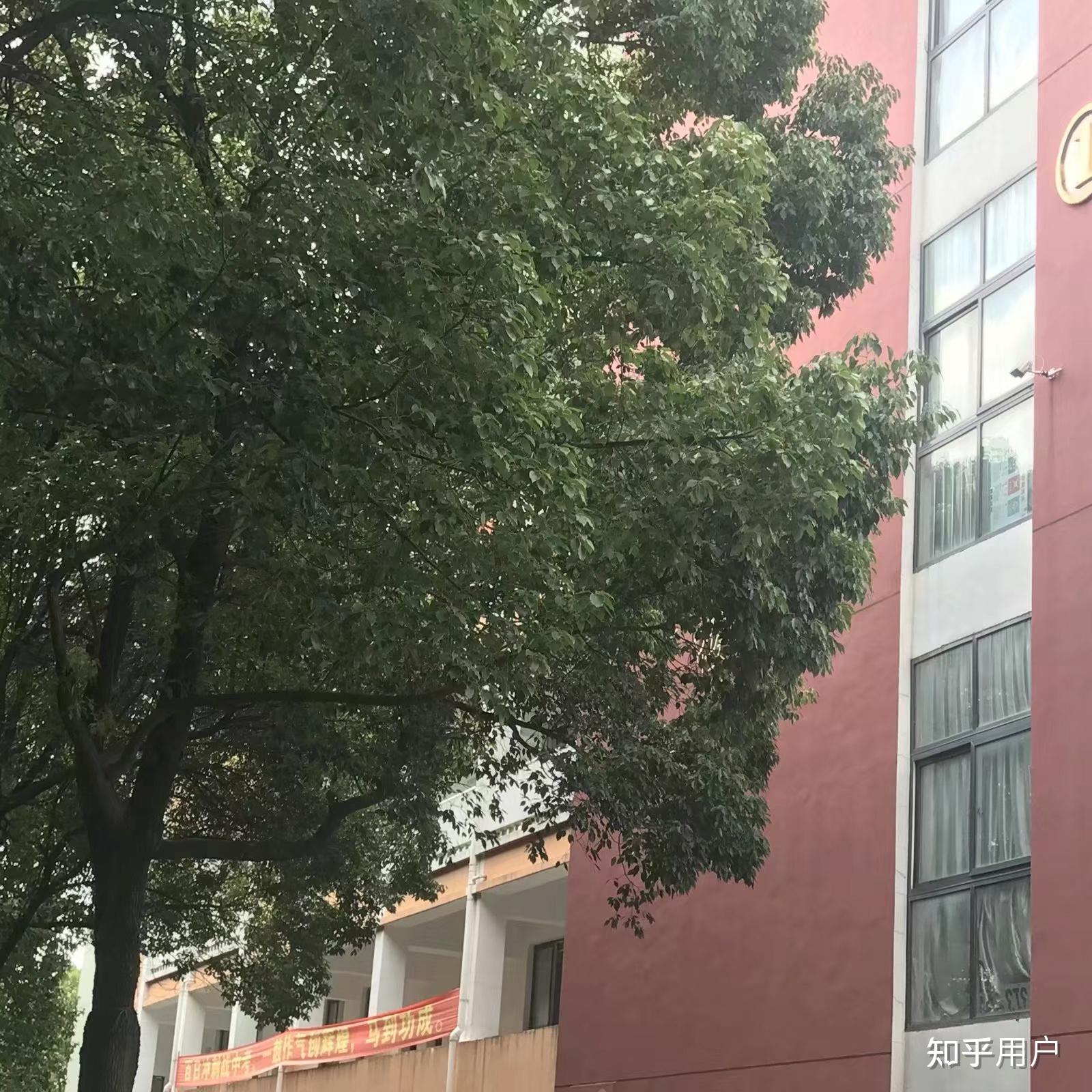 织里镇中学怎么样