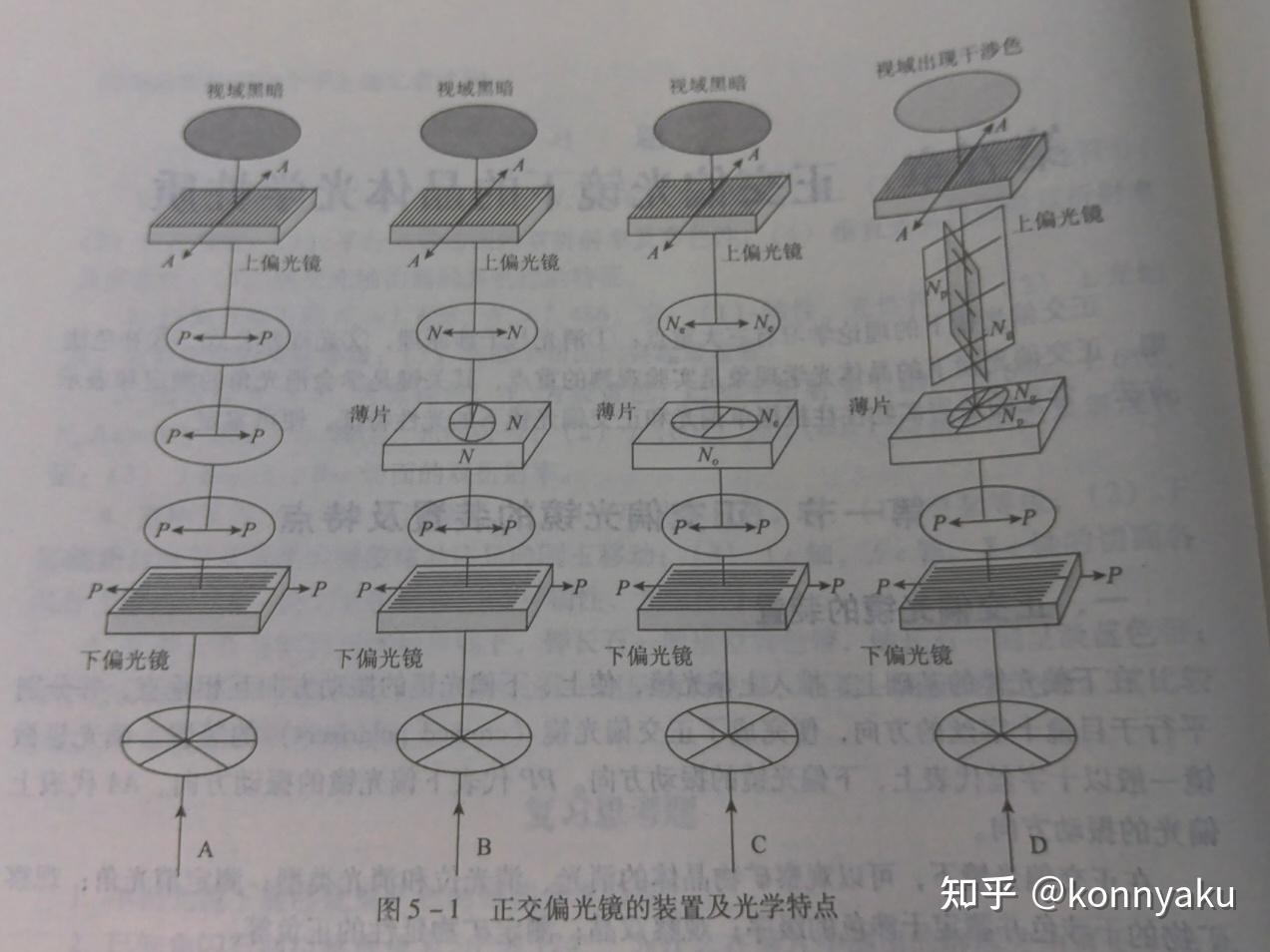 Chap5 正交偏光下的晶体光学性质 - 知乎
