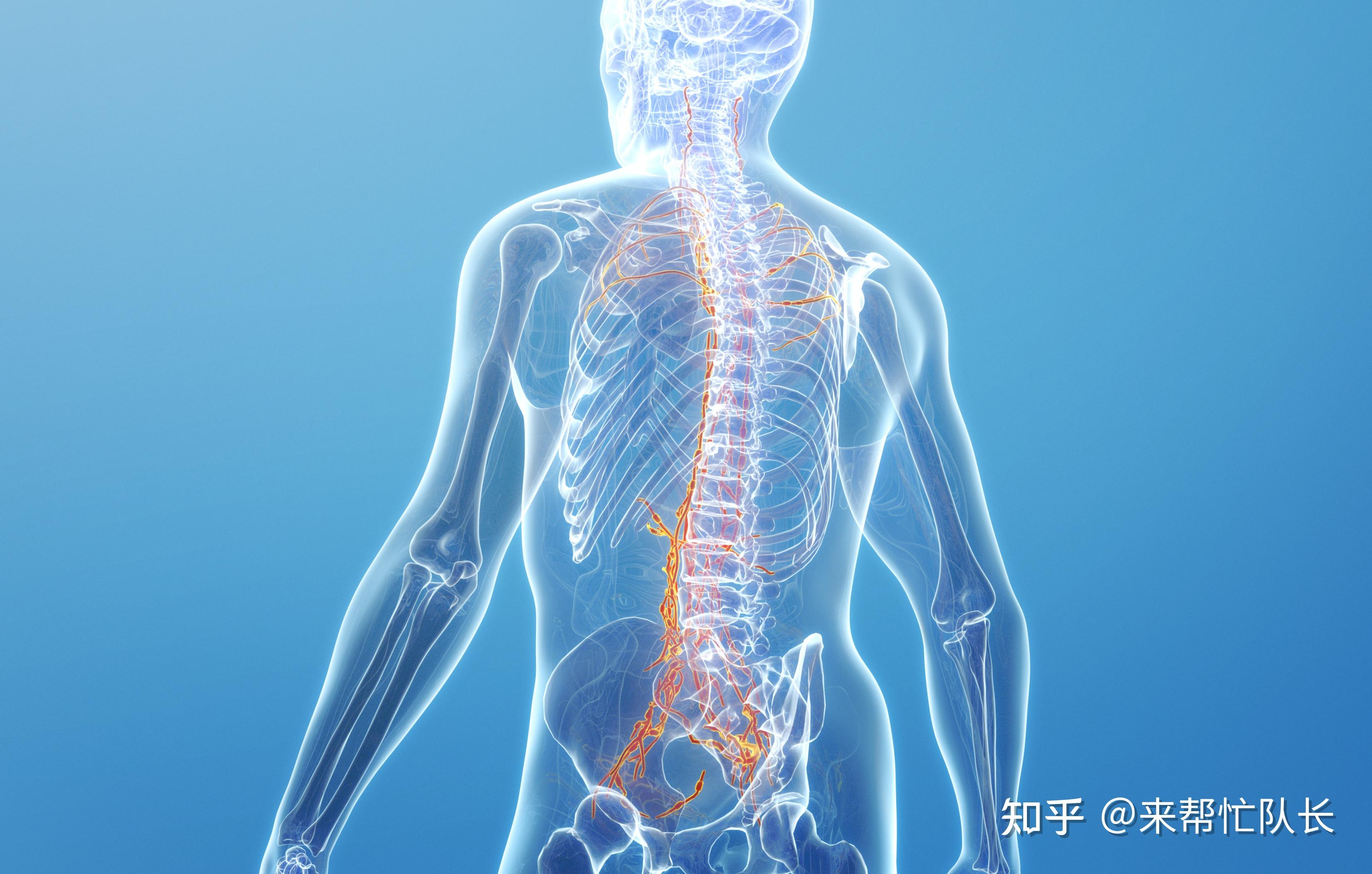 癌症晚期并远程转移腰骨严重吗还能活多久