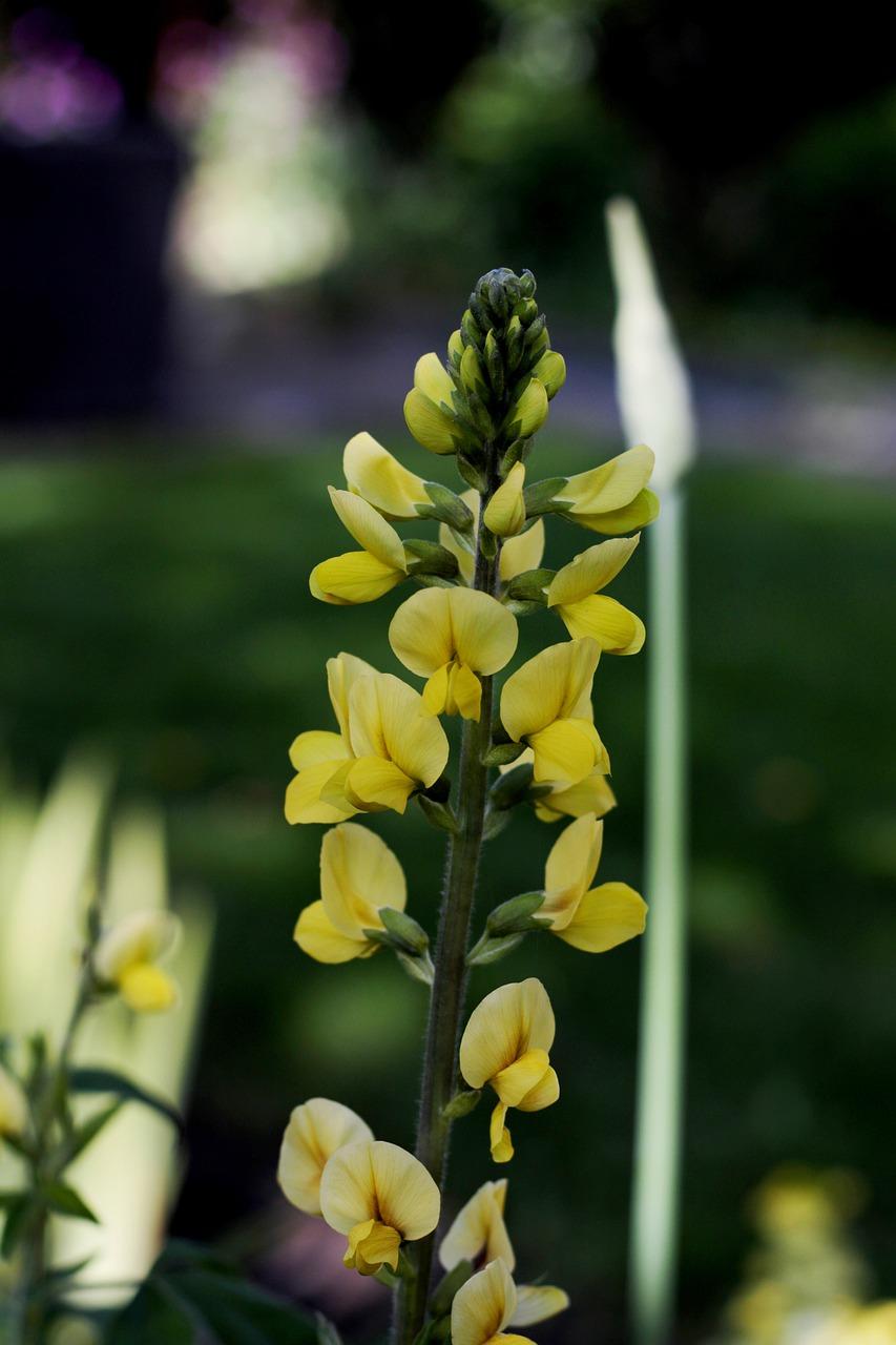 4. 精致户型设计