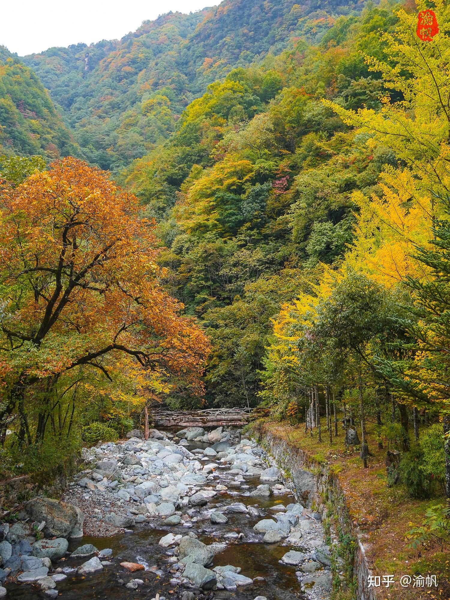 探索神秘的官门山，穿过野人大门，看网红大熊猫，拍悬崖蜂箱 - 知乎