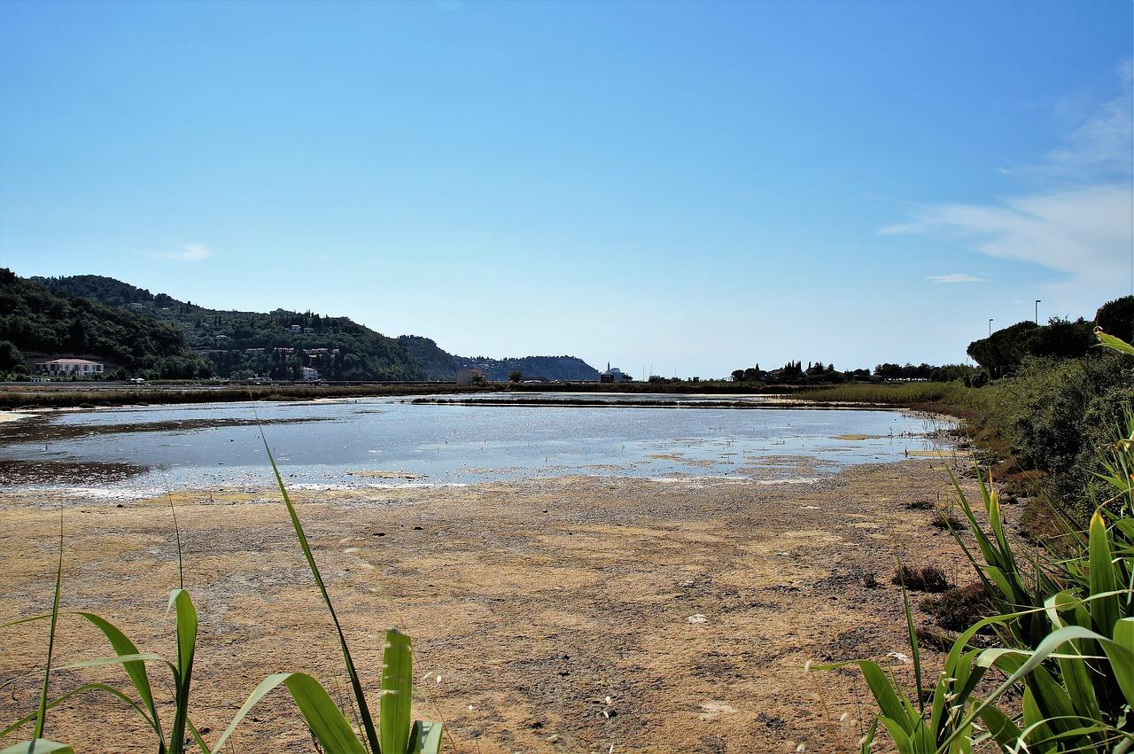 海盐金瑞投资值