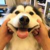 乐微博抖音运营